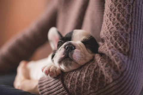 9 Daily Rituals That Bring Joy in 2020
